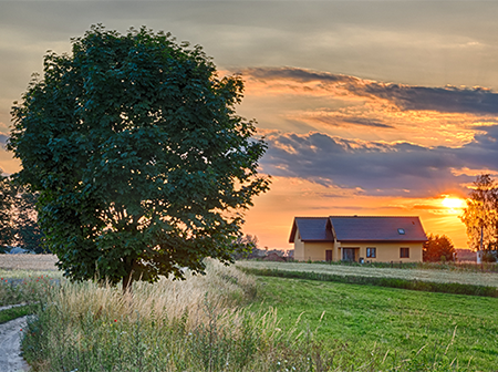 Sun setting on rural home with large tree
