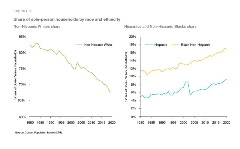 Exhibit 3: Share of sole-person households by race and ethnicity